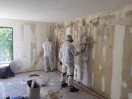 Why You Should Choose Our Mold Remediation Services in Bloomer, WI